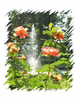 Rosen mit Springbrunnen1, Rahmen